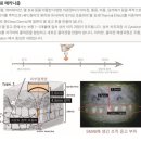 플로레의원 이미지