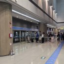 소담한분식 | 인천공항 탑승동 식당•카페 총정리