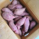 화산고구마 이미지