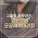 구월동 피부관리 고원장의모공세척테라피 닥터아크네제로 후기