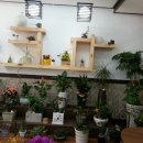 꽃드리움 이미지