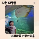 남해카써비스 | [사천,남해] 비올때 가기좋은 아쿠아리옴! 20개월 아기랑 다녀온 아라마루 아쿠아리움! 할인 정보, 주차...