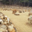 밀양조경산업 이미지
