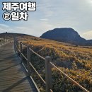 오현단 | [제주도] 제주여행 2일차(3.22.)