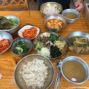 학운정 티스토리