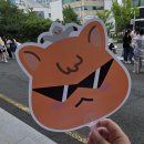 끌림 콘서트 6/ 벨리씨미 콘서트 | 규떤남자를위한....어떤콘서트후기