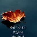 여성들만 보세요~ 이미지