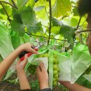 샤인농장 이미지