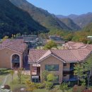 동해무릉건강숲 이미지