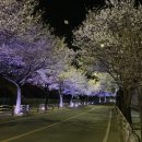 은대공원 이미지