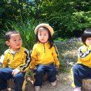 하청초등학교 이미지