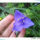 자연과아이들 이미지