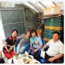 금보농장 이미지