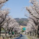 논산대로 이미지