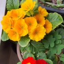 아버지와 자전거 이미지