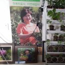 오세열농장 이미지