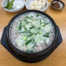 류대협 명인 곰탕 (직영점) | 아이랑 경주 여행 경주 황리단길 맛집 류대협명인곰탕 본점