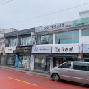 에바 가위컷 전문점 | 까치산역 애견미용 “에바가위컷전문점” 어때요?