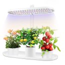 식물 인테리어 | 스마토이 LED 식물 재배등 다육이 화분 성장 조명 탁상 인테리어 식물등 후기