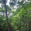 성주사 입구 이미지