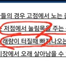 (주)창조팜 이미지