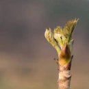 주식회사 종근 이미지