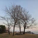 창원 봉화산 봉수대 이미지