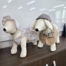 [국비_내일배움카드] 11/6 트레이닝복 제작 & 수선 | [한국평생직업학원] (토) 주말 국비훈련 - 반려견 외출복 제작 / 강아지옷 만들기 / 펫패션