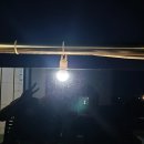 라온피네 이미지