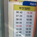 탐앤탐스부안격포파드점 | [전북21-부안Day3] 격포항, 적벽강, 수성당, 후박나무군락, 채석강, 부안터미널