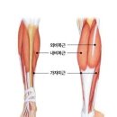 머슬제이 네이버블로그
