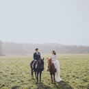 태영목장2 이미지