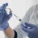 정든동물병원 이미지