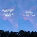 100평쇼핑몰 - 구미시 구미중앙로42길 5-17 | 100평쇼핑몰