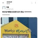 흔한 유치원 졸업식 이미지