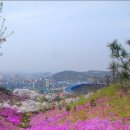 (고려산 수정) 진달래 꽃길 걷기 프로젝트 2題(4.15=부천 원미산 4.17=강화 고려산) 이미지