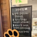 냥이시대 이미지