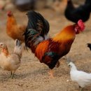 둘리민박 이미지