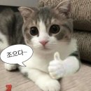 코끼리식육식당(혁신점)