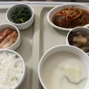 안암3 | 고대안암병원 psvt 전극도자절제술 후기 3편 : 시술