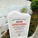태안 안면도 애견동반 카페 트레블브레이크커피는 언제나 즐거워(내돈내산)