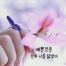 당신의인생사진