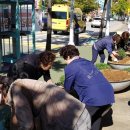 정발산동 행정복지센터 이미지