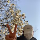 낙성대 공원 이미지
