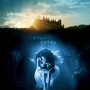 이큐어(주) 이미지