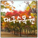 2024 대구수목원 국화축제 후기 🌼🍁 주차정보
