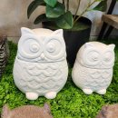 부엉이샵 이미지