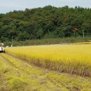 ＜사라네-(일품)쌀, 잡곡＞ 밥맛좋은 우렁이쌀, 잡곡(소백산웰빙농원) 이미지