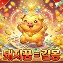 돼지꿈 해몽 총정리 | 살찐 돼지, 새끼 돼지, 집에 들어온 돼지 뜻은?