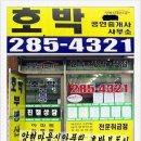 신안호박공인중개사사무소 네이버블로그